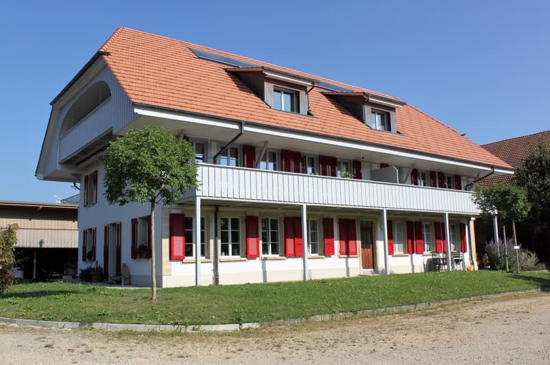 Charmante 4.5-Zimmer-Dachwohnung mit Balkon in Radelfingen (1)