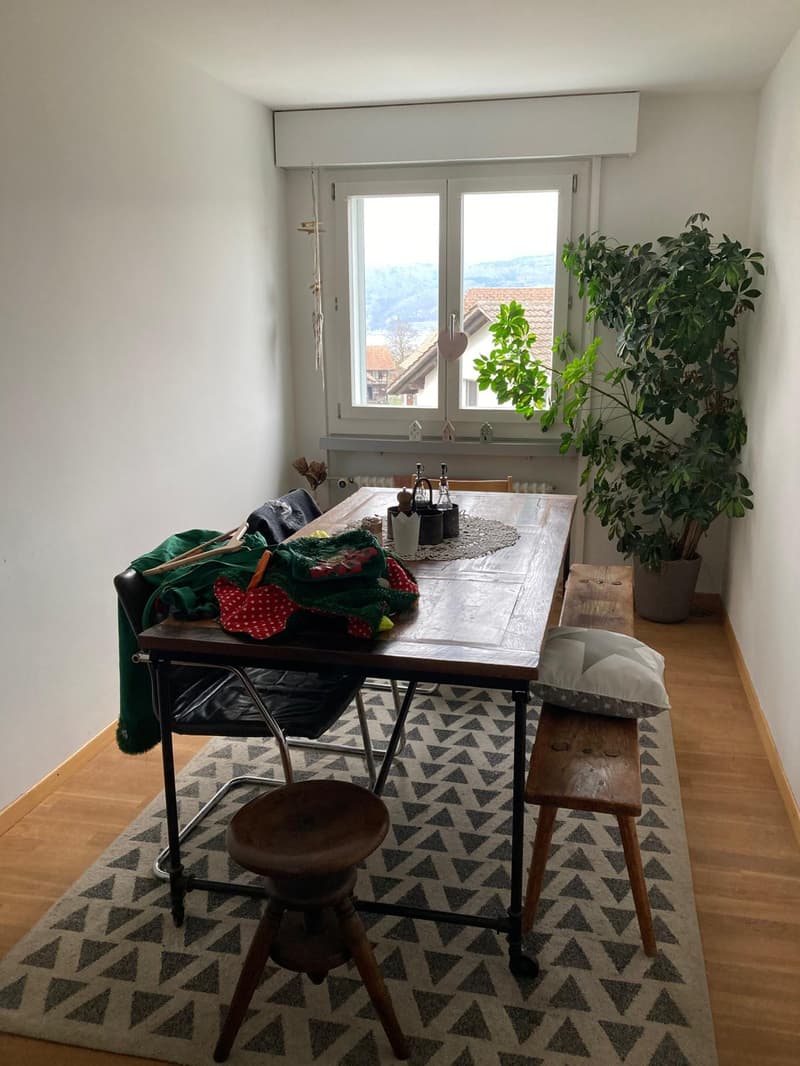 Charmante 4-Zimmerwohnung mit Balkon in ruhiger Lage von Gerolfingen (8)