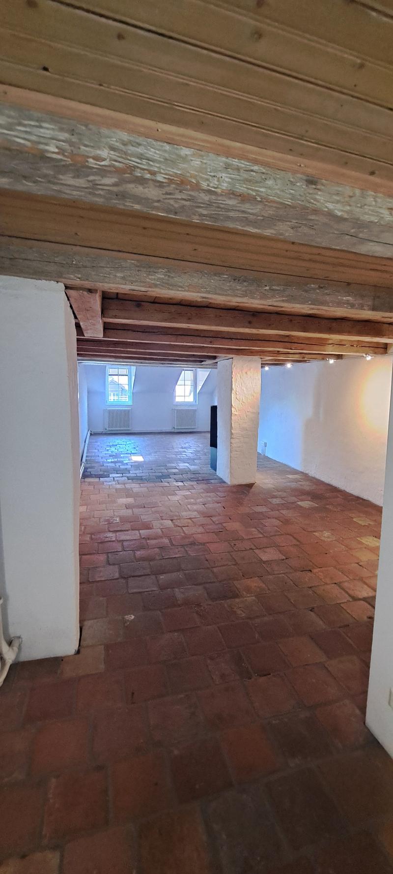 Charmante Dachwohnung im Herzen von Bern (4)