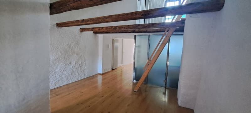 Charmante Dachwohnung im Herzen von Bern (12)