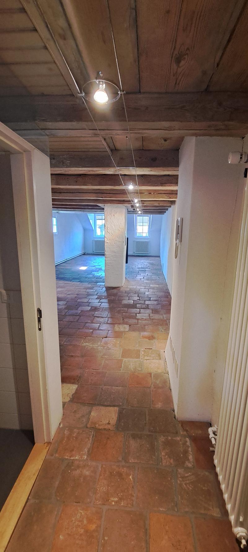Charmante Dachwohnung im Herzen von Bern (3)