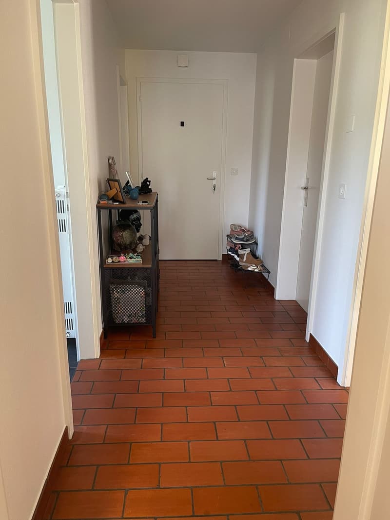Charmante 3-Zimmerwohnung in ruhiger Lage in Brügg BE (3)