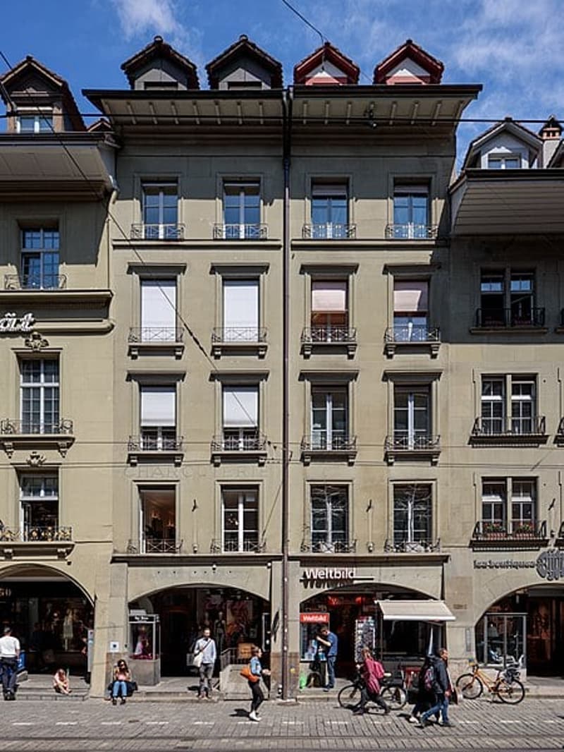 Charmante Dachwohnung im Herzen von Bern (1)