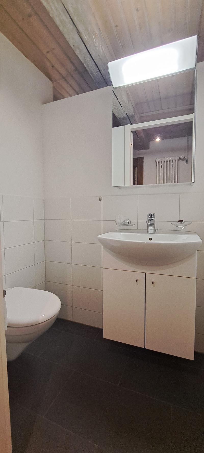 Charmante Dachwohnung im Herzen von Bern (7)