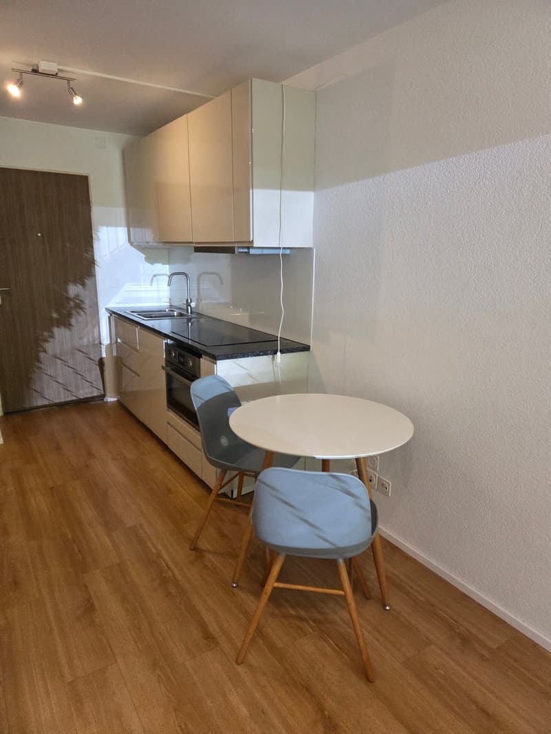 teil möbliertes charmantes Studio in ruhiger Lage zu vermieten (5)