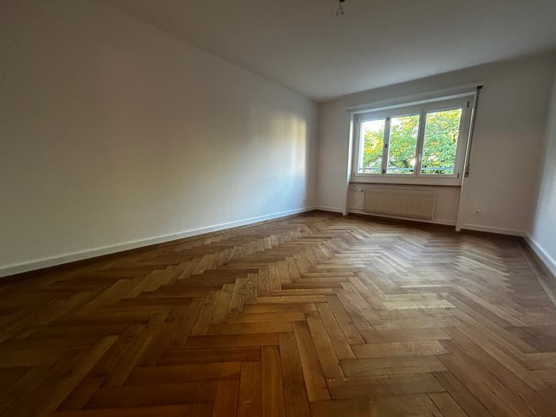 Komplett renovierte 3-Zimmerwohnung an der Ankerstrasse in Bern (7)