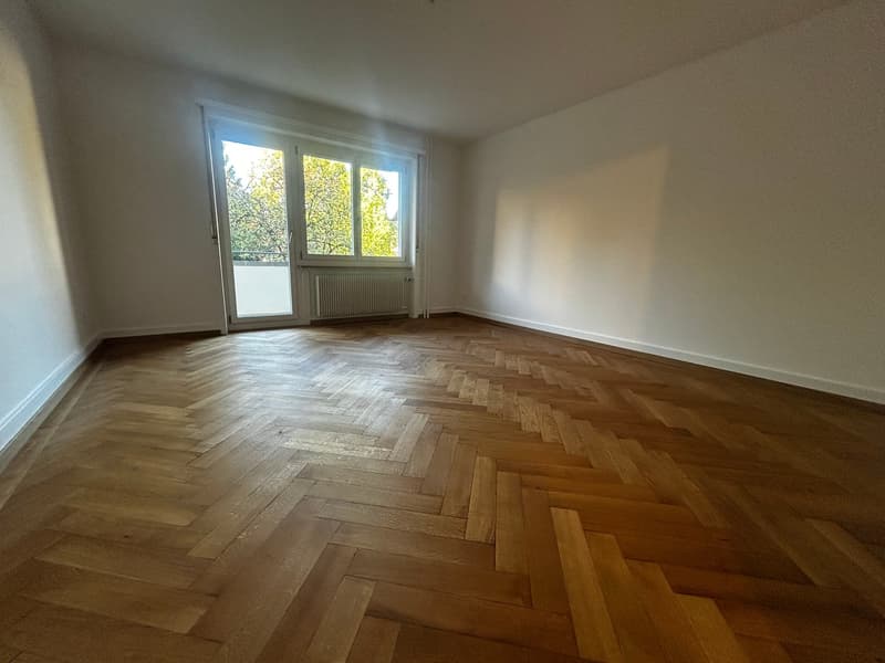Komplett renovierte 3-Zimmerwohnung an der Ankerstrasse in Bern (6)