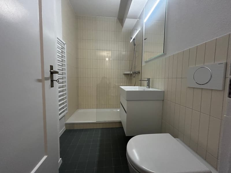 Komplett renovierte 3-Zimmerwohnung an der Ankerstrasse in Bern (5)
