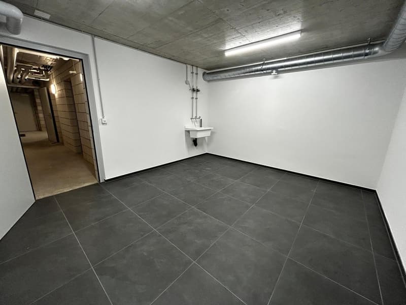 Hobbyraum inklusive Glasfaser – Neubau in Lyss (2)