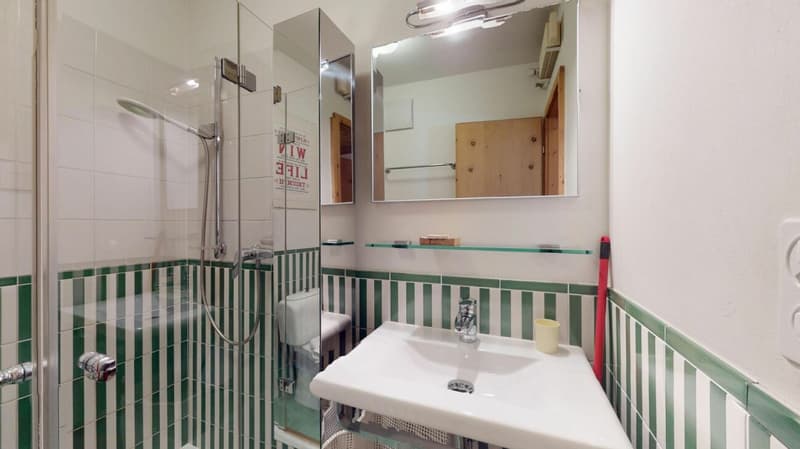 Abitaziun Duos Chesas Appartamento di 4½ locali - Celerina (affitto annuale) (21)
