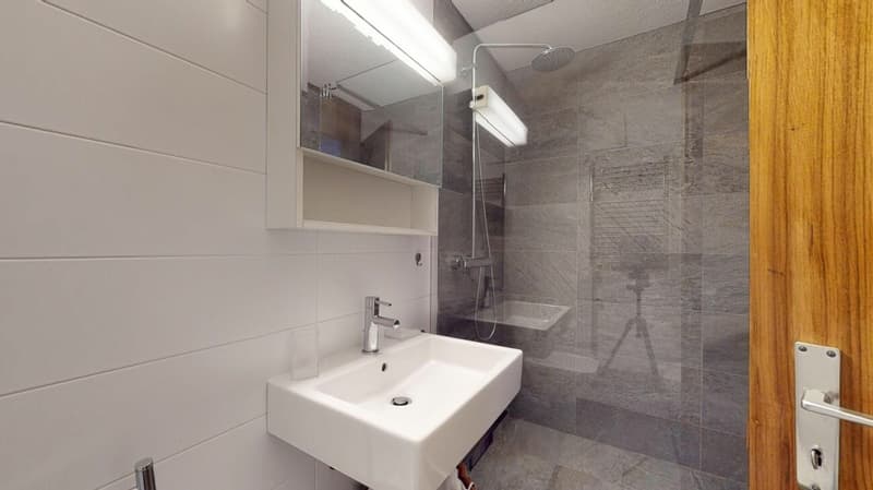 Home in the heart of St. Moritz - 4.5-room apartment with panoramic balcony (14)