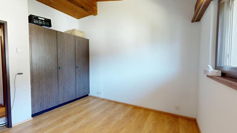 3 Zimmer Dachwohnung (8)