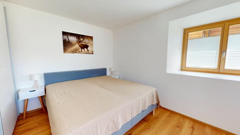 Wunderschöne 2.5 Zimmer Ferienwohnung (5)
