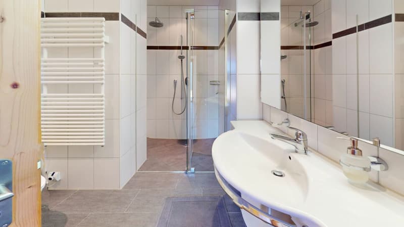 Wunderschöne 2.5 Zimmer Ferienwohnung (6)