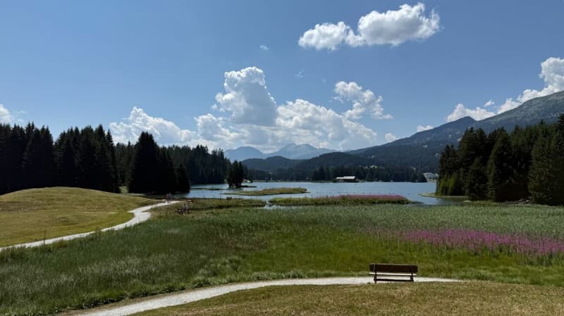 2.5 Zimmer Ferienwohnung an bester Lage (13)