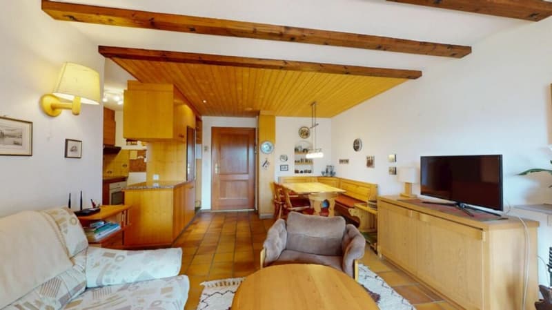 2.5 Zimmer Ferienwohnung an bester Lage (4)