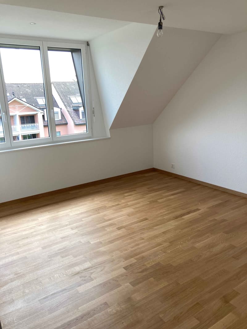 Fantastic maisonette attic apartment in a rural setting (4)