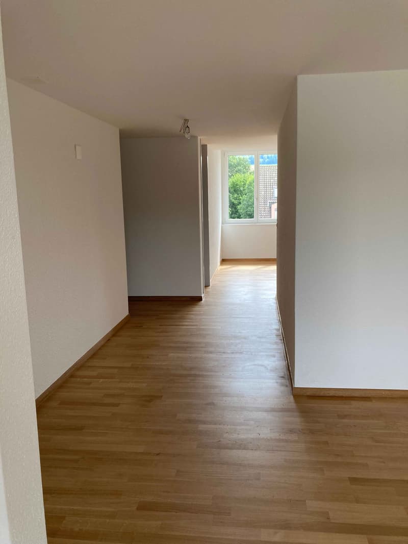 Fantastic maisonette attic apartment in a rural setting (5)
