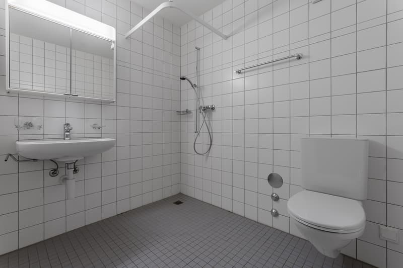 Wohnen in Seenähe (5)