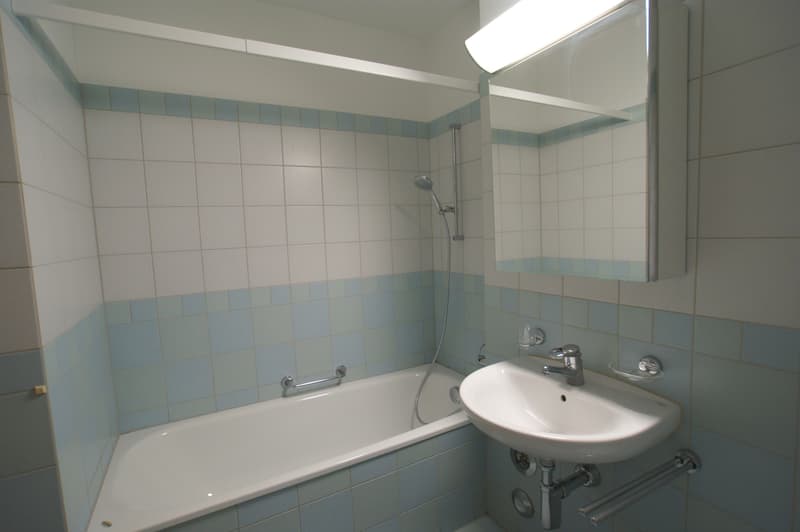 Attikawohnung im Grünen (3)