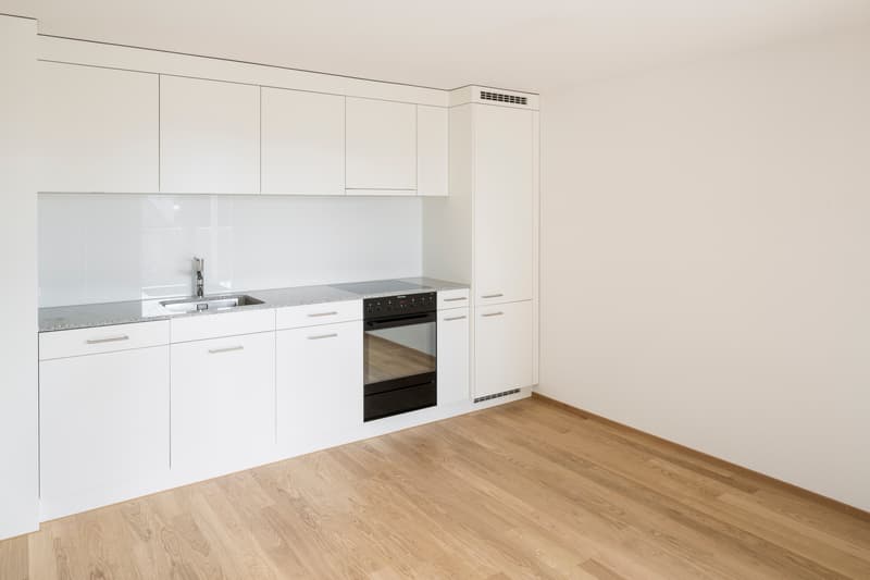 Gemütliche 1 ½-Zimmerwohnung in Sursee (1)
