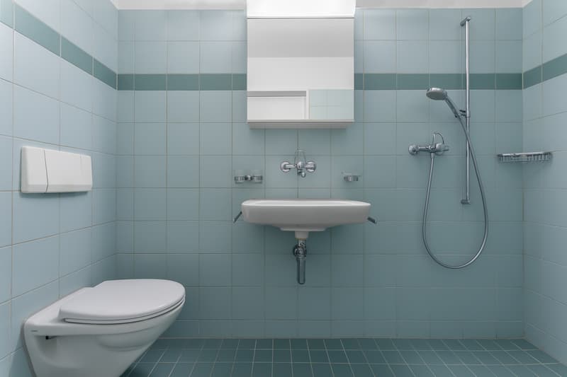 Grosszügige Wohnung an ruhiger Lage (6)