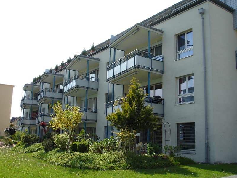 Grosszügige Wohnung an ruhiger Lage (1)