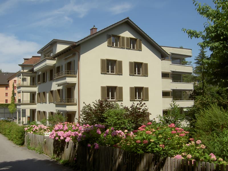 Wohnen im beliebten Maihofquartier (1)