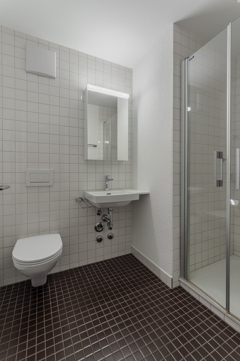 Grosszügige Maisonettewohnung in Sempach (2)