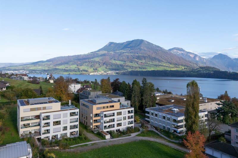 Attraktive 2.5-Zimmerwohnung an ruhiger Lage in Meggen (1)