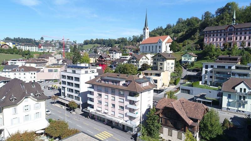 aerial view, houses, steep hills, church, street, red crane