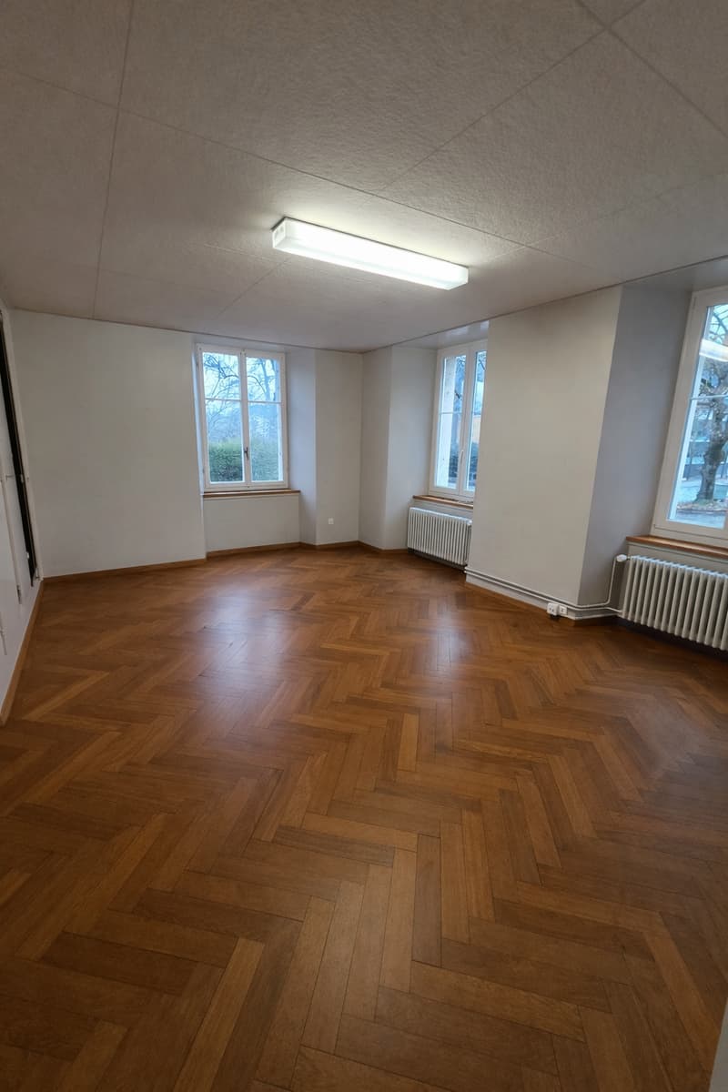 Empty room, wooden parquet flooring, white walls, windows, radiators, ceiling lamp.