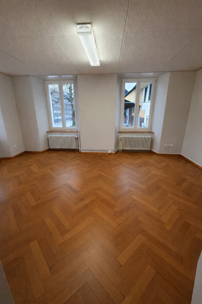 empty room, wooden parquet flooring, 2 radiators, 2 windows, ceiling light
