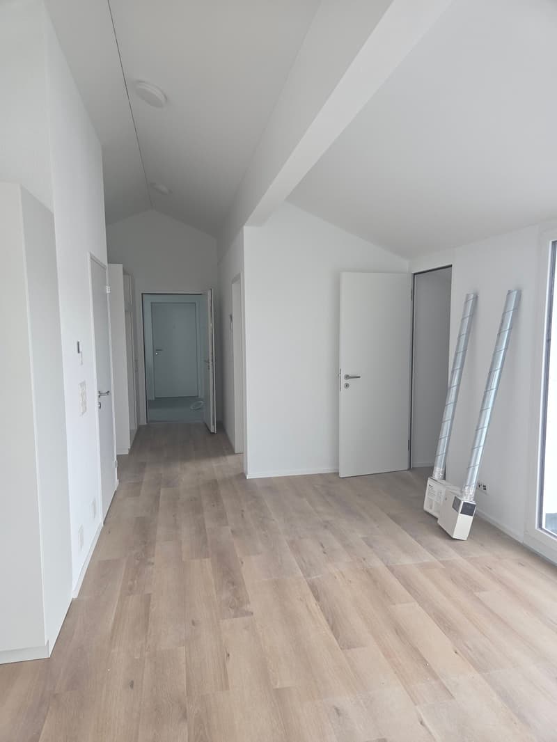 Nouvel appartement attique 3.5 pièces à louer (n° 7 à droite) (6)