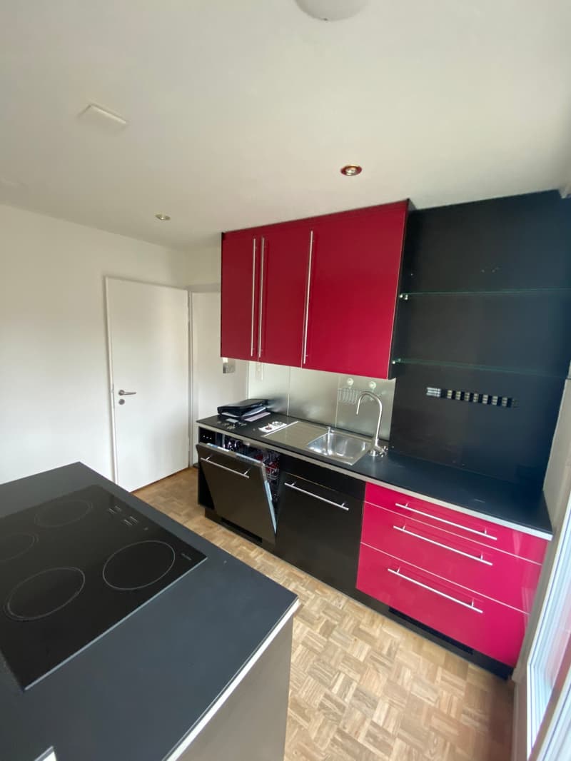 modern kitchen with red and black cabinets, induction cooktop, dishwasher, stainless steel sink, faucet, wooden floor