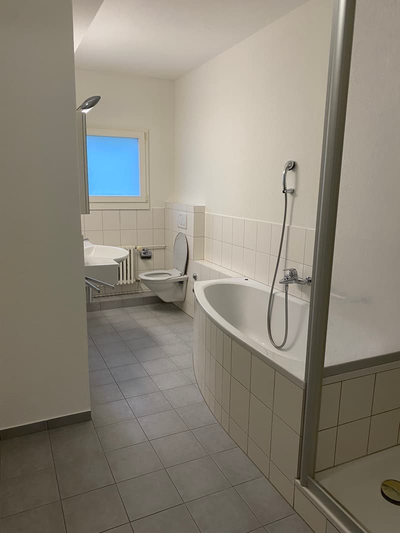 Charmante und grosszügige 4.5-Zimmer-Wohnung (10021) (9)