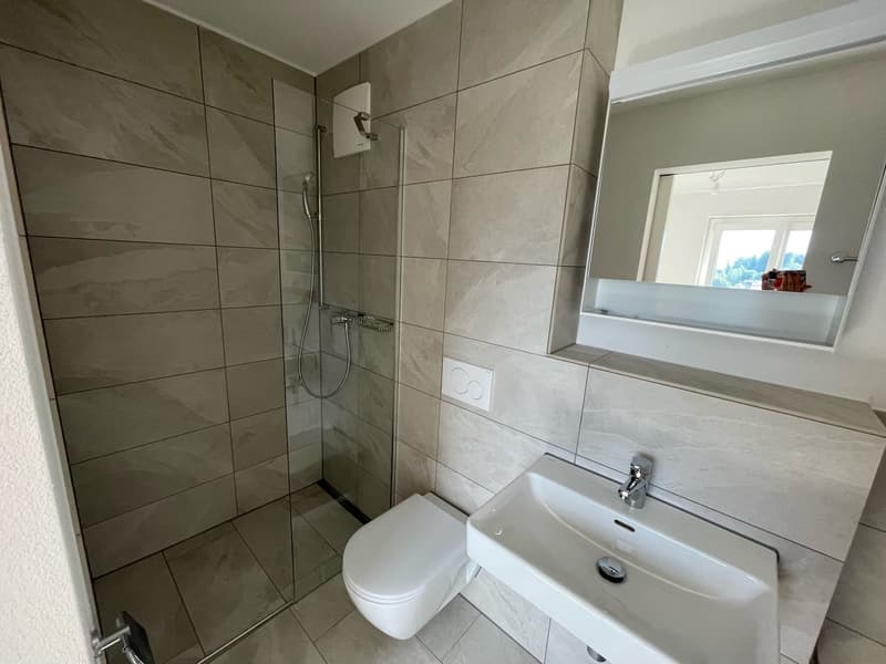 Ruhig wohnen und zentral leben - moderne 1-Zimmerwohnung in Luzern (2)