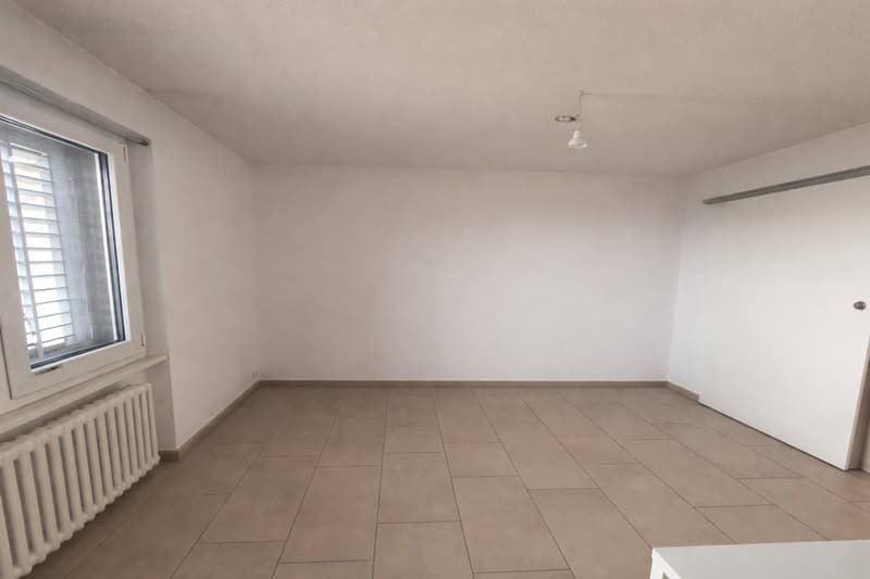 Ruhig wohnen und zentral leben - moderne 1-Zimmerwohnung in Luzern (4)