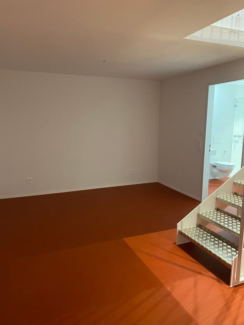 Brandneue 2.5-Zimmer-Duplex-Loftwohnung an der Bernstrasse 58 in Luzern (11)