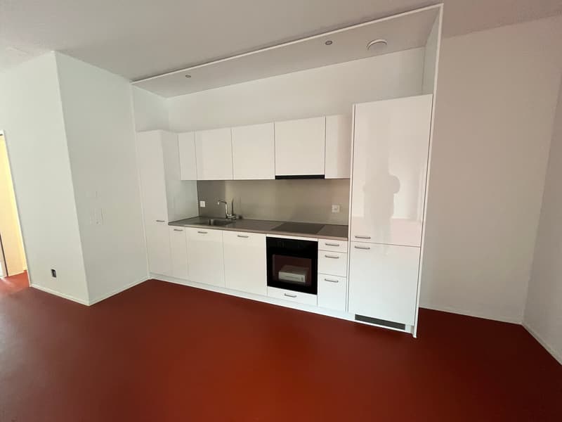 Brandneue 2.5-Zimmer-Duplex-Loftwohnung an der Bernstrasse 58 in Luzern (2)