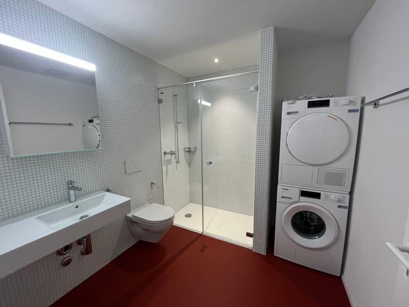 Brandneue 2.5-Zimmer-Duplex-Loftwohnung an der Bernstrasse 58 in Luzern (3)