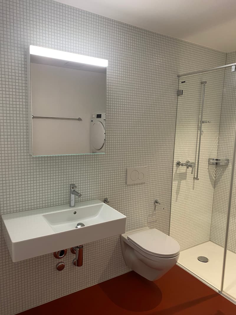 Brandneue 2.5-Zimmer-Duplex-Loftwohnung an der Bernstrasse 58 in Luzern (4)