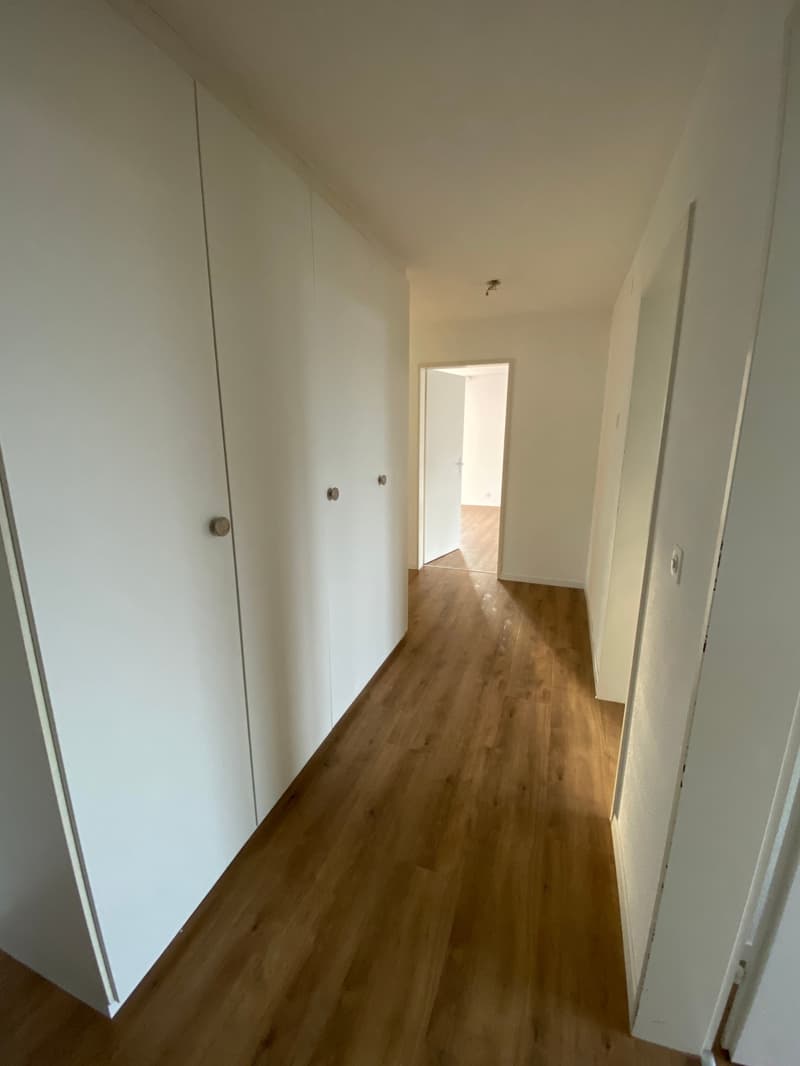 4.5-Zimmerwohnung zu vermieten (13001) (2)