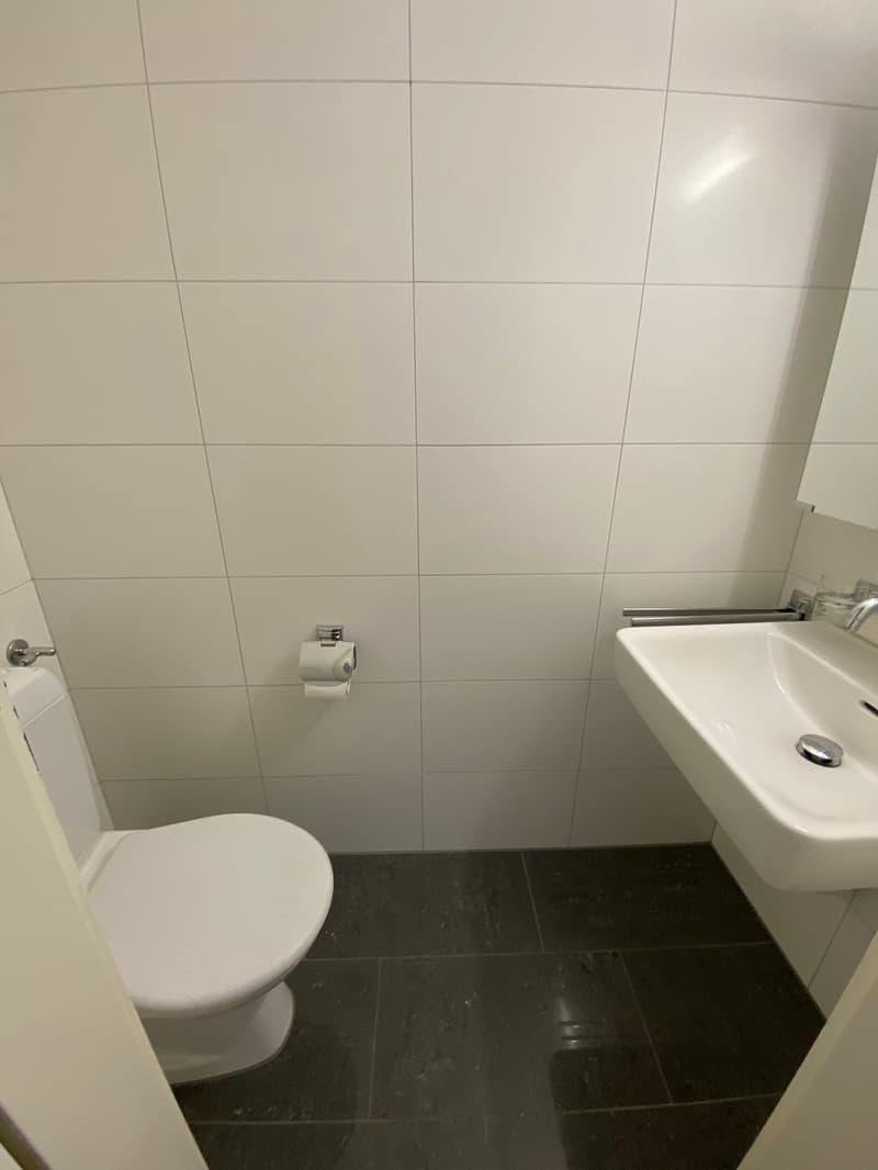 4.5-Zimmerwohnung zu vermieten (13001) (8)