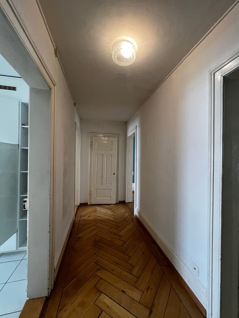 Schöne 3-Zimmer-Wohnung an zentraler Lage in Luzern (8)