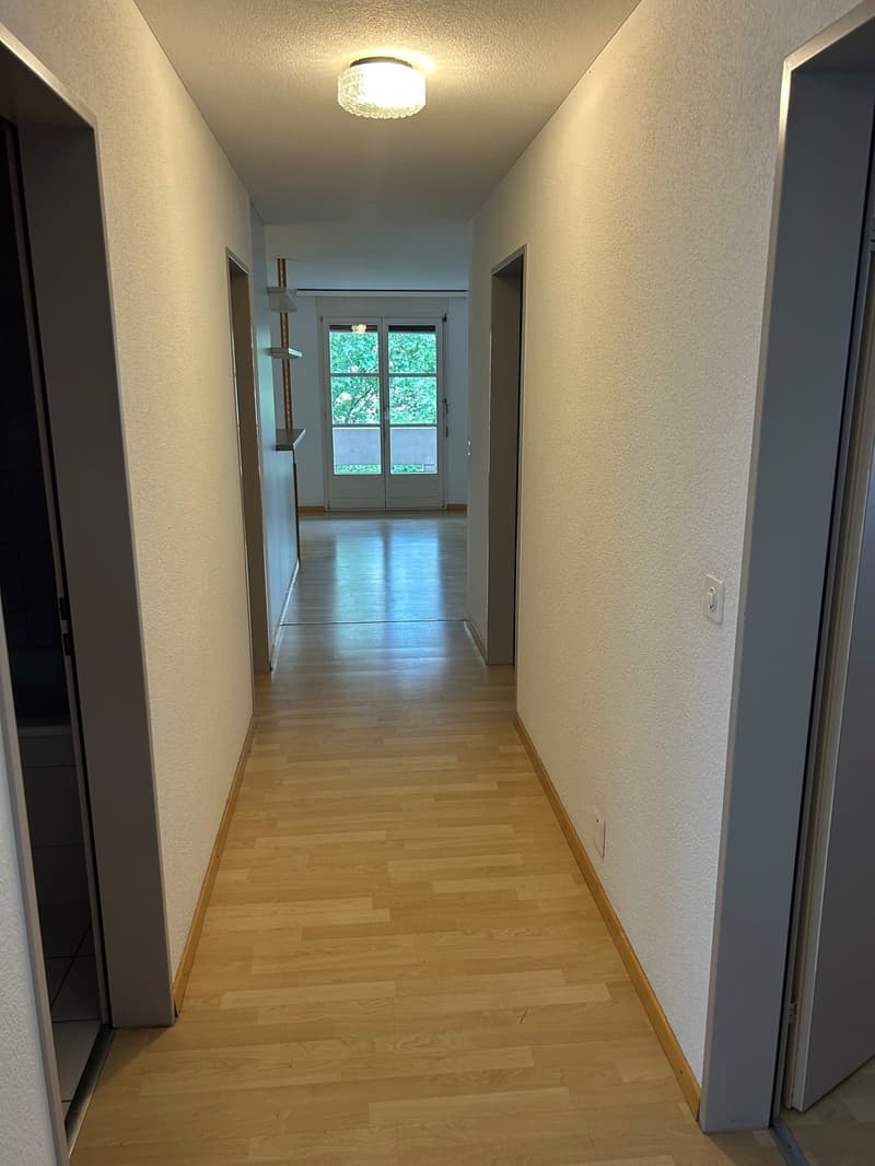 Helle 4.5-Zimmer-Wohnung mit Balkon in Luzern-Reussbühl (8)