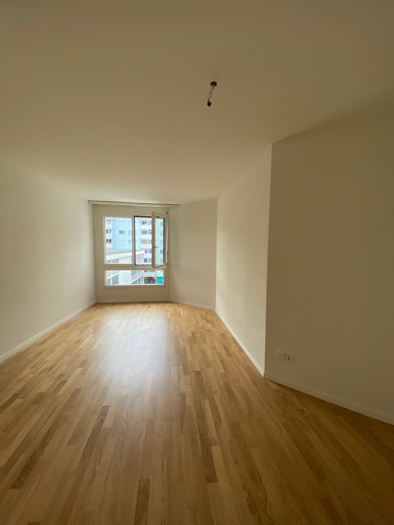 Grosszügige 3.5-Zimmerwohnung mit Balkon in Luzern (5)