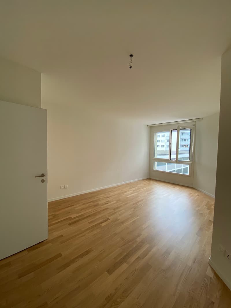 Grosszügige 3.5-Zimmerwohnung mit Balkon in Luzern (6)