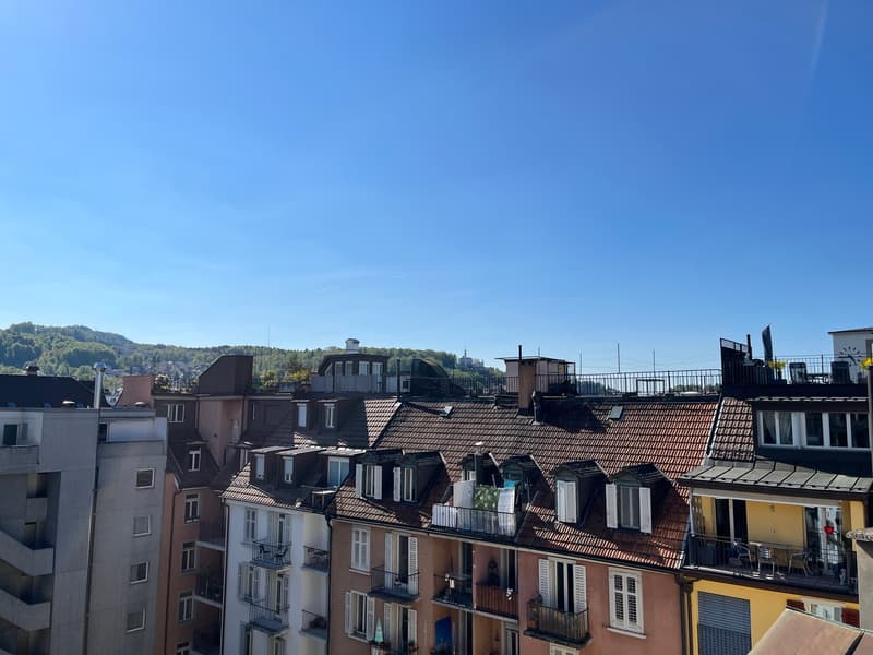 Charmante 2.5-Zimmer-Maisonette-Wohnung mit Dachterrasse im Herz von Luzern (19)
