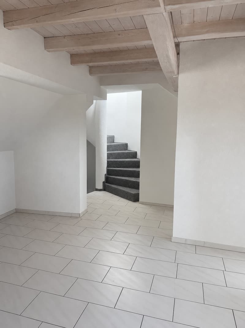 Charmante 2.5-Zimmer-Maisonette-Wohnung mit Dachterrasse im Herz von Luzern (5)